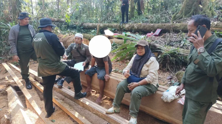 KPH Wilayah IV Aceh Temukan 85 Keping Kayu Olahan Ilegal di Beutong Ateuh
