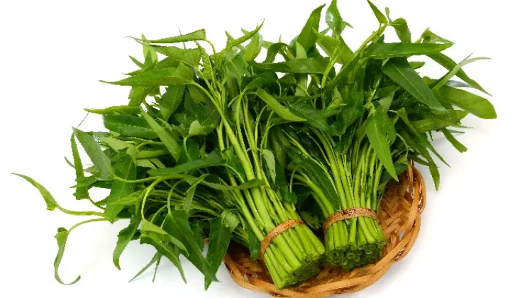 Sederhana tapi Istimewa Kangkung Menyimpan Banyak Manfaat bagi Tubuh