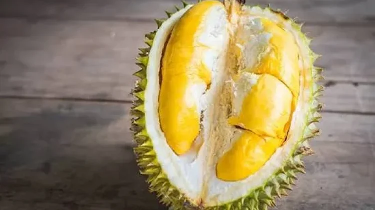 Tak Hanya Lezat Durian juga Punya Manfaat bagi Tumbuh Kembang Anak
