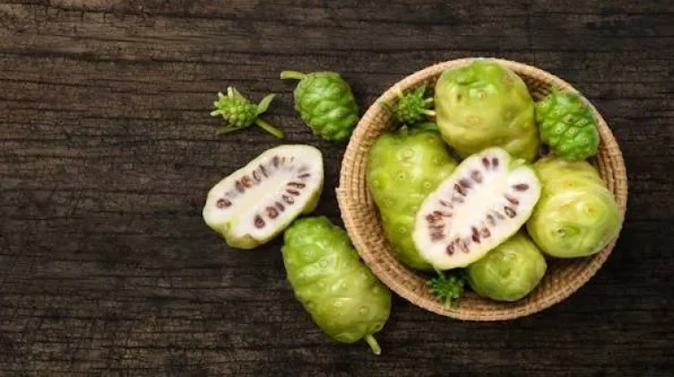 Buah Mengkudu Si Pahit yang Kaya Manfaat untuk Kesehatan Pria dan Wanita