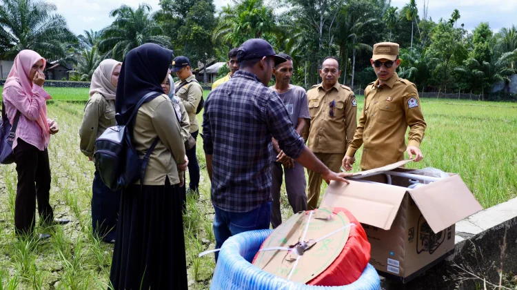 Pemkab Aceh Barat Bantu Mesin Pompa Air pada Sawah Masyarakat