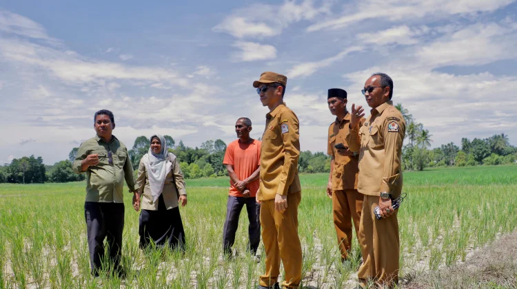 Bupati Aceh Barat Percepat Penanganan Kekeringan, Distribusikan 200 Unit Pompa Ai