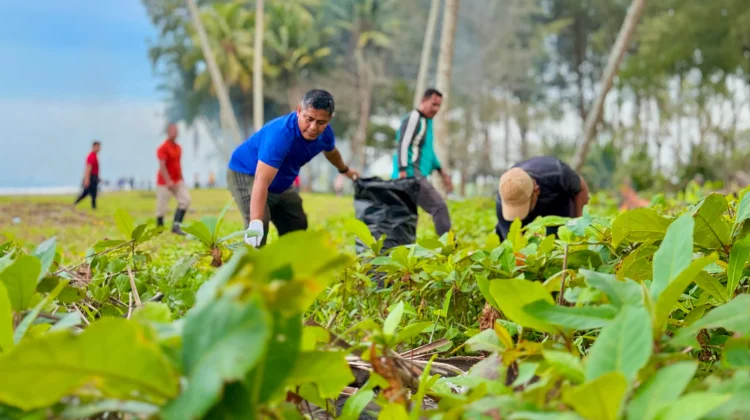 pemkab Aceh Barat Gotong Royong Massal