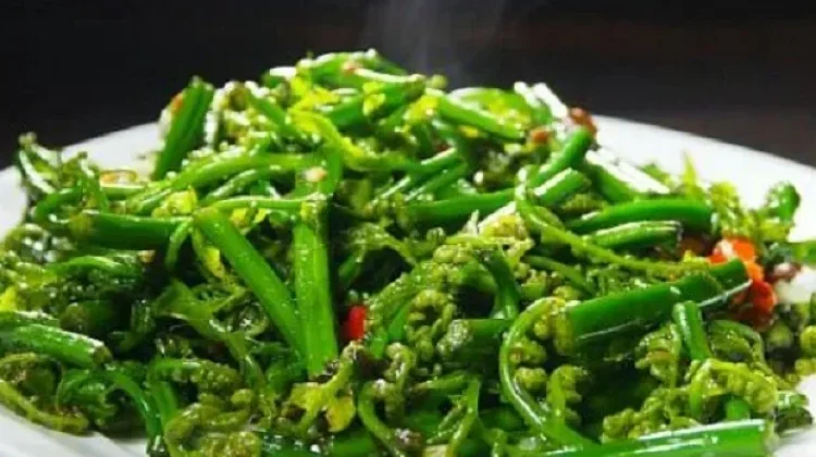 Mengenal Sayur Pakis untuk Kesehatan
