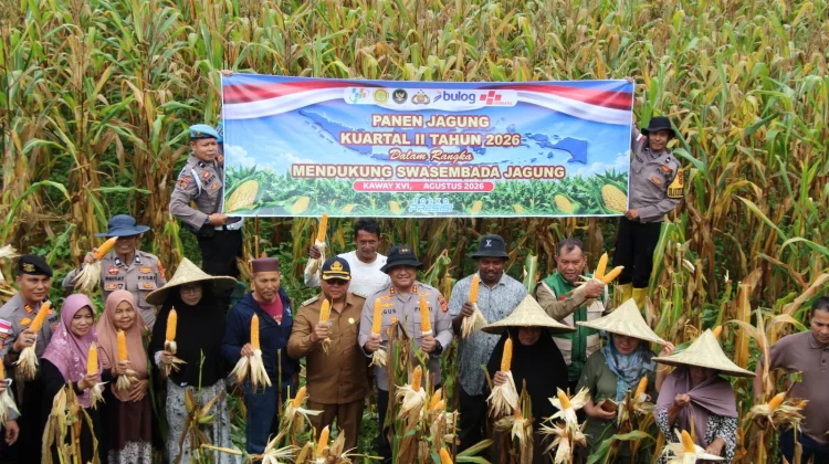 Panen Jagung Jadi Bukti Sinergi Polri dan Petani Dukung Ketahanan Pangan Nasional