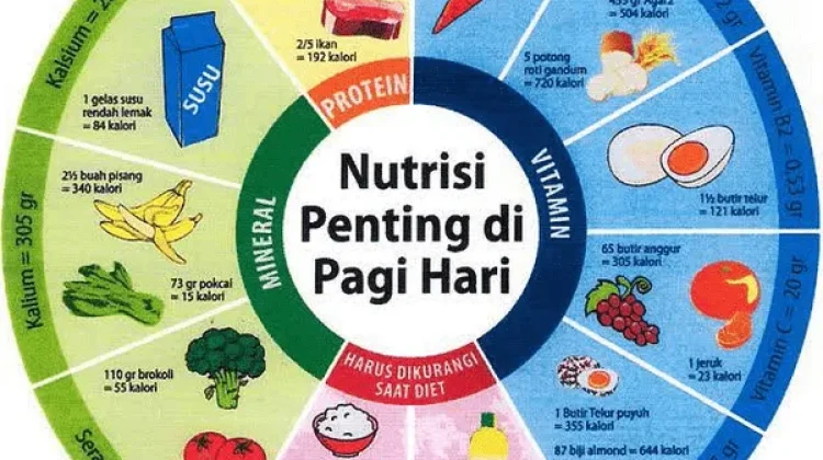 Cara Memilih Makanan Sehat untuk Kebutuhan Harian