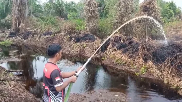 BPBD Aceh Barat: Hujan Tekan Penyebaran Karhutla, Bara Gambut Masih Berasap