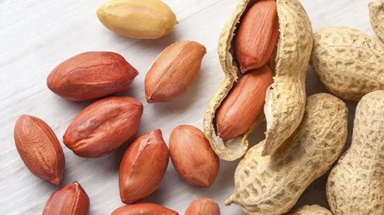 Manfaat Kacang Tanah untuk Kesehatan,Lebih dari Sekadar Camilan
