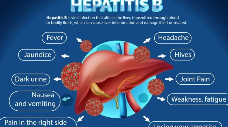 Deteksi Dini Hepatitis, Pemeriksaan Rutin Jadi Kunci Pencegahan Komplikasi