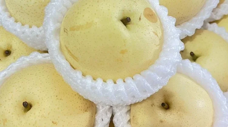 Jangan Kaget Ini Efek Nyata Buah Pir