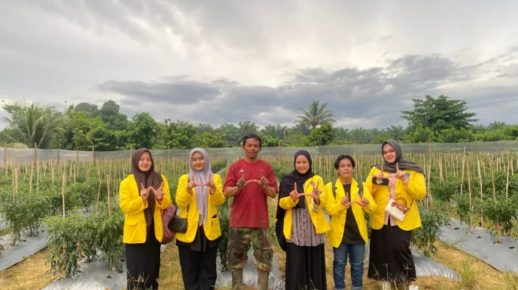 Agriconnect.Click, Startup Mahasiswa UTU Pangkas Rantai Distribusi Pangan