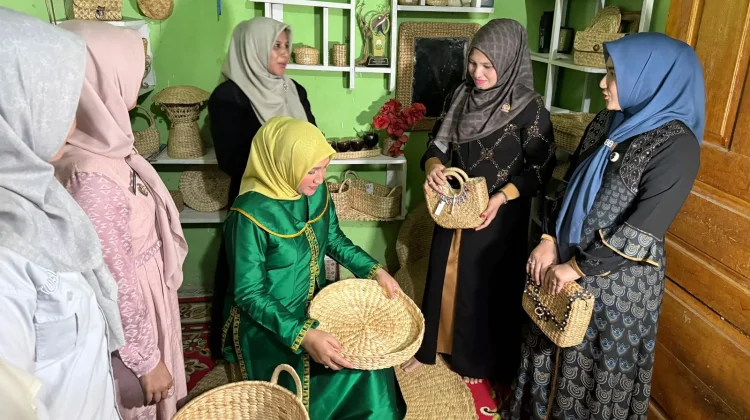 Bahan Baku Terbatas, UMKM Eceng Gondok Aceh Barat Bidik Ekspor