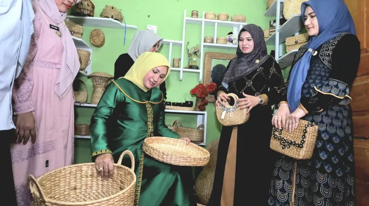 Ketua Dekranasda Provinsi Aceh Kunjungi sentra UMKM eceng gondok Aceh Barat
