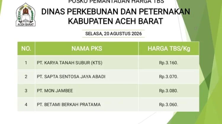 Harga TBS Kelapa Sawit di Aceh Barat Tembus Rp3.160 per Kilogram