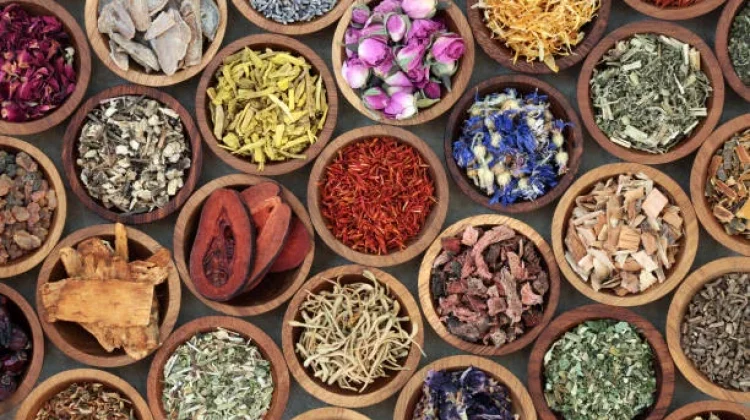 Memilih Obat Herbal, Sesuai Kebutuhan dan Kondisi Tubuh