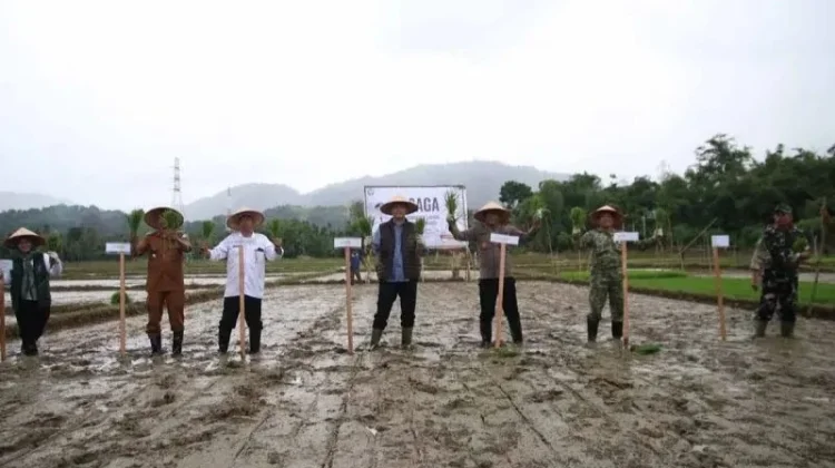 Aceh Selatan Gratiskan Bajak Sawah untuk Ringankan Beban Petani