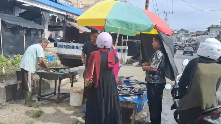 Harga Ikan di Meulaboh Naik jelang Tradisi Maulid