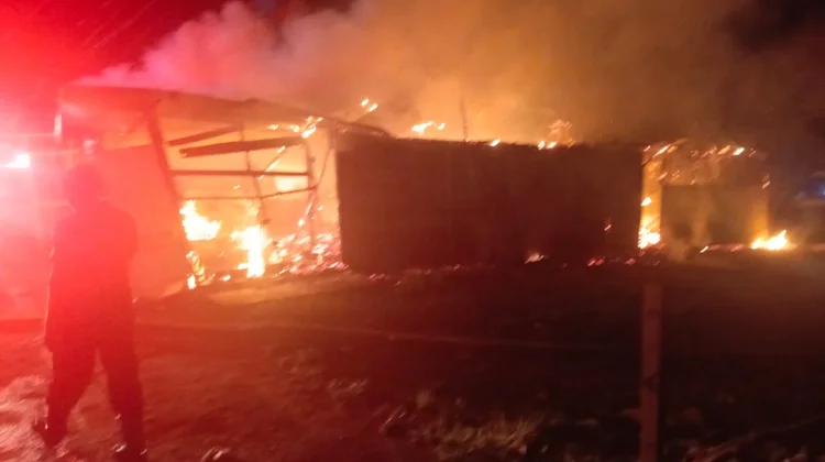 Ruko Konter HP di Meureubo Terbakar, Kerugian Capai Rp250 Juta