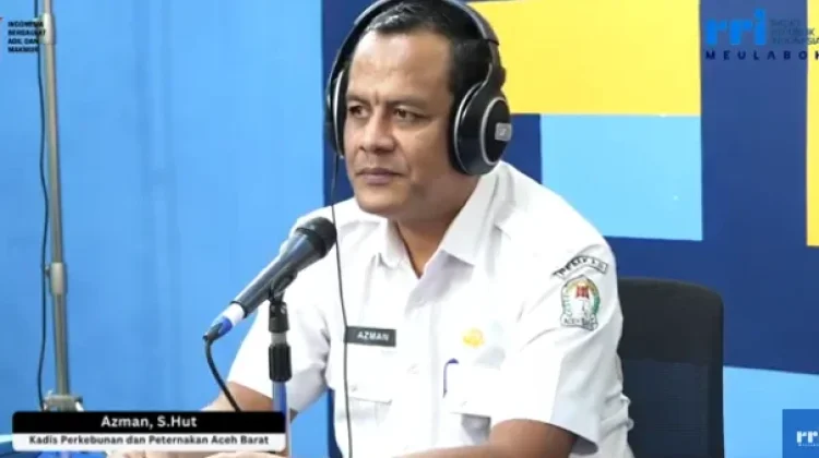Pengembangan kebun plasma Aceh Barat terkendala status lahan dan data penerima