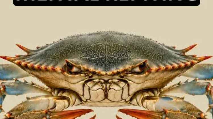 Mengenal Tanda-Tanda Orang dengan Mental Crab