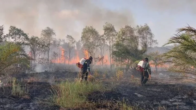 Kementerian Kesehatan Catat 5,5 Juta Warga Terdampak Karhutla