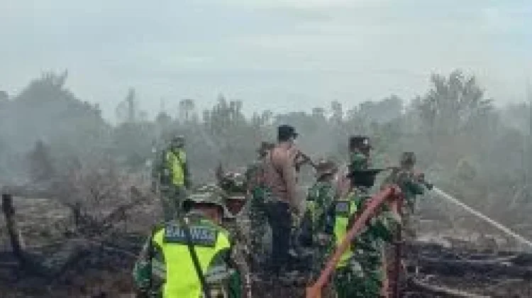 Tim Gabungan Penanganan Karhutla Lakukan Pemadaman Api di Perkebunan Masyarakat