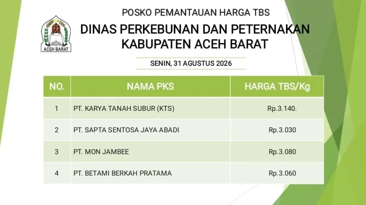 Update Harga TBS Kelapa Sawit di Aceh Barat Per 31 Agustus 2026