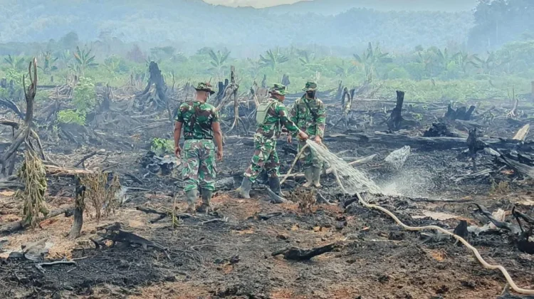 Tim Gabungan Fokus Pendinginan Lahan Gambut di Kabupaten Aceh Selatan