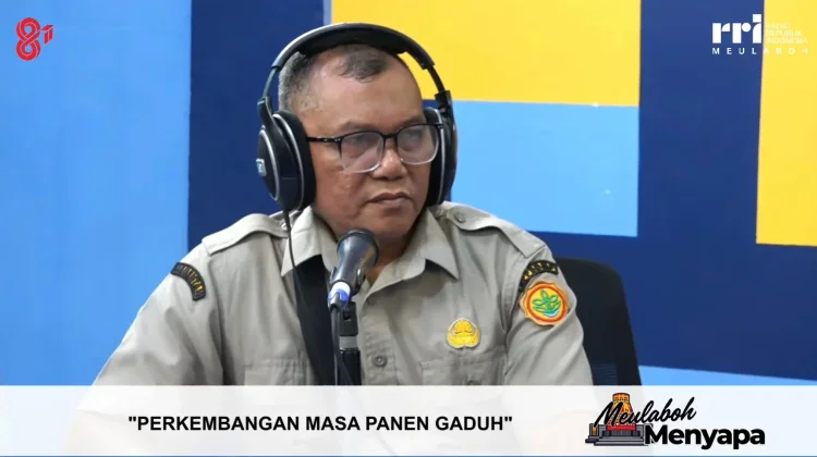Penyuluh Dorong Penguatan Irigasi dan Alsintan untuk Petani Kaway XVI