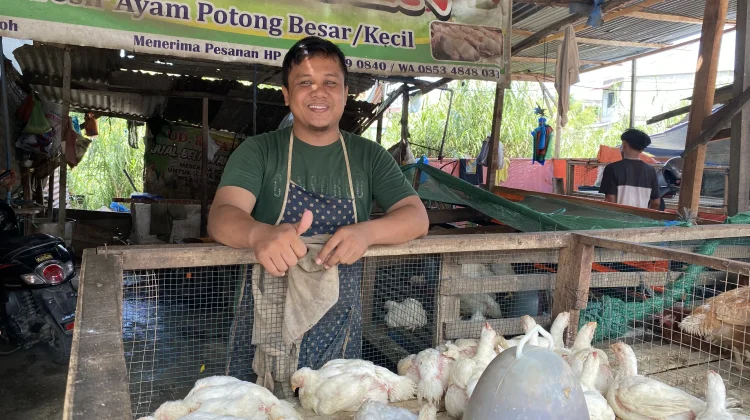 Stok Ayam Potong Terbatas, Pedagang di Pasar Meulaboh Mengeluh