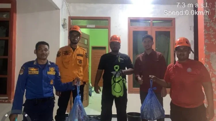 BPBD Aceh Barat Evakuasi Sarang Tawon di Desa Peunaga