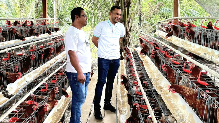 Politisi PDI Perjuangan DPR-RI Salurkan Bantuan Ayam Petelur ke Aceh