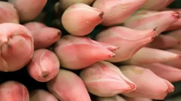 Aromanya Bikin Penasaran! Kincung, Bumbu Tradisional yang Tak Lekang Zaman