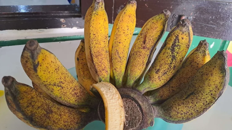 Mengenal Kandungan Gizi Pisang dan Manfaatnya bagi Kesehatan Tubuh