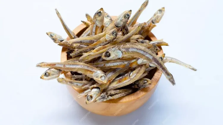 Ikan Teri Tak Sekadar Pelengkap Sambal, Kaya Protein dan Omega-3