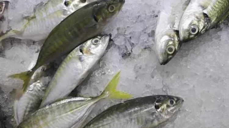 Manfaat Ikan Selar bagi Kesehatan Wanita dan Pria