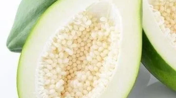 Manfaat Pepaya Muda untuk Tubuh dari Pencernaan hingga Asupan Nutrisi