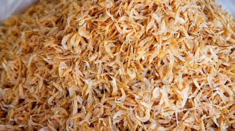 Manfaat Ebi untuk Anak Sumber Protein dan Mineral dalam Menu Harian