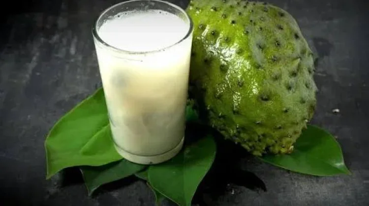 Manfaat Buah Sirsak untuk Lansia