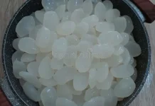 Ketahui Manfaat Kolang -Kaling untuk Kesehatan