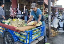 Pedagang Timun Suri Musiman Ramai saat Ramadan di Meulaboh