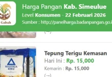 Harga Pangan di Simeulue Stabil, Daging Sapi Bertahan di Rp180 Ribu per Kilogram