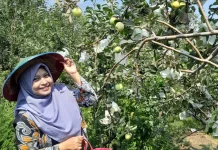 Pertanian Organik Jadi Solusi Krisis Lingkungan
