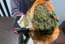 Satresnarkoba Polres Aceh Barat Tangkap Pelaku Penyalahgunaan Ganja