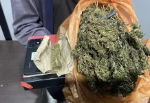 Satresnarkoba Aceh Barat Tangkap Pelaku Penyalahgunaan Ganja di Kampung Darat