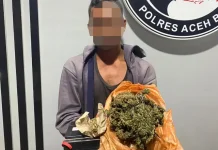 Satresnarkoba Polres Aceh Barat Tangkap Pelaku Penyalahgunaan Ganja