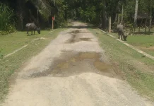 Jalan Desa Meunasah Ara Semakin Parah Berlubang