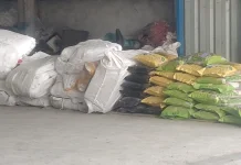 Kilang Padi Rimo Tani Siapkan Ribuan Karung Gabah