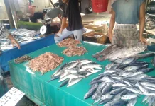 Harga Ikan Segar Meulaboh Naik Signifikan