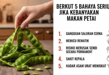 Berikut 5 Bahaya Serius jika Kebanyakan Makan Petai